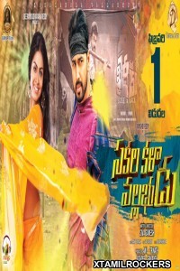 Sakala Kala Vallabhudu (2019) Telugu Movie