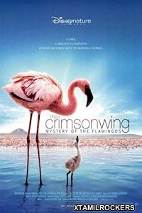 The Crimson Wing Mystery of the Flamingos (2008) Tamil Dubbed